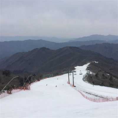 무주 리조트: 고요한 산속에서 만나는 우주적 평화